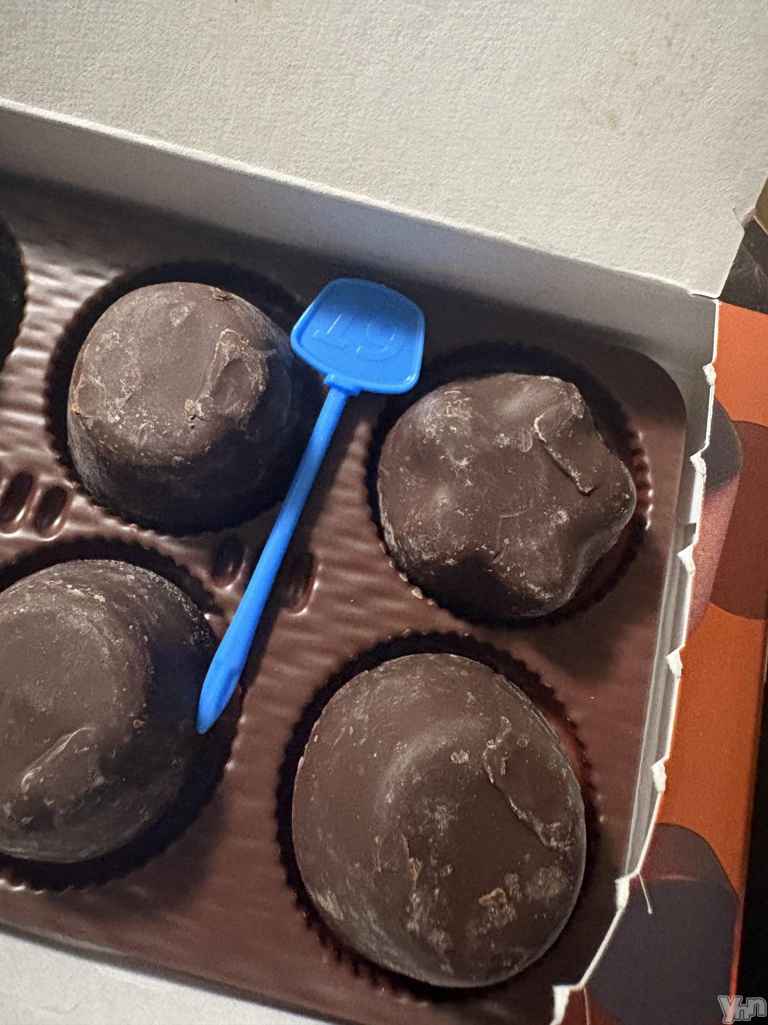 ���ܥ���Х��顦�����CLUB WONDER(����� ������) ��2026ǯ3��7���̥�֥�����2026.3/7��