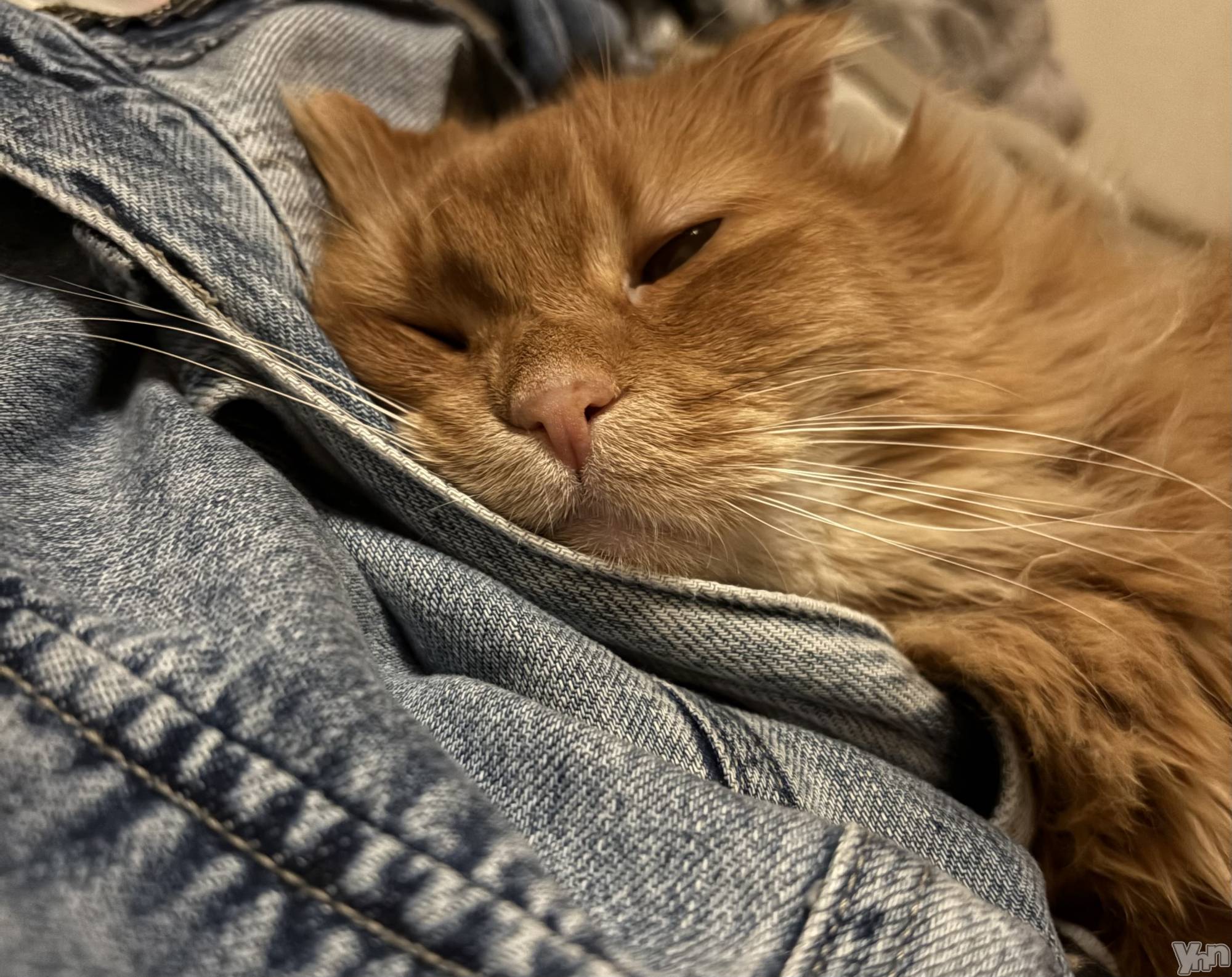 ���ܥ���Х��顦�����CLUB WONDER(����� ������) ��2026ǯ3��8���̥�֥�����2026.3/8��