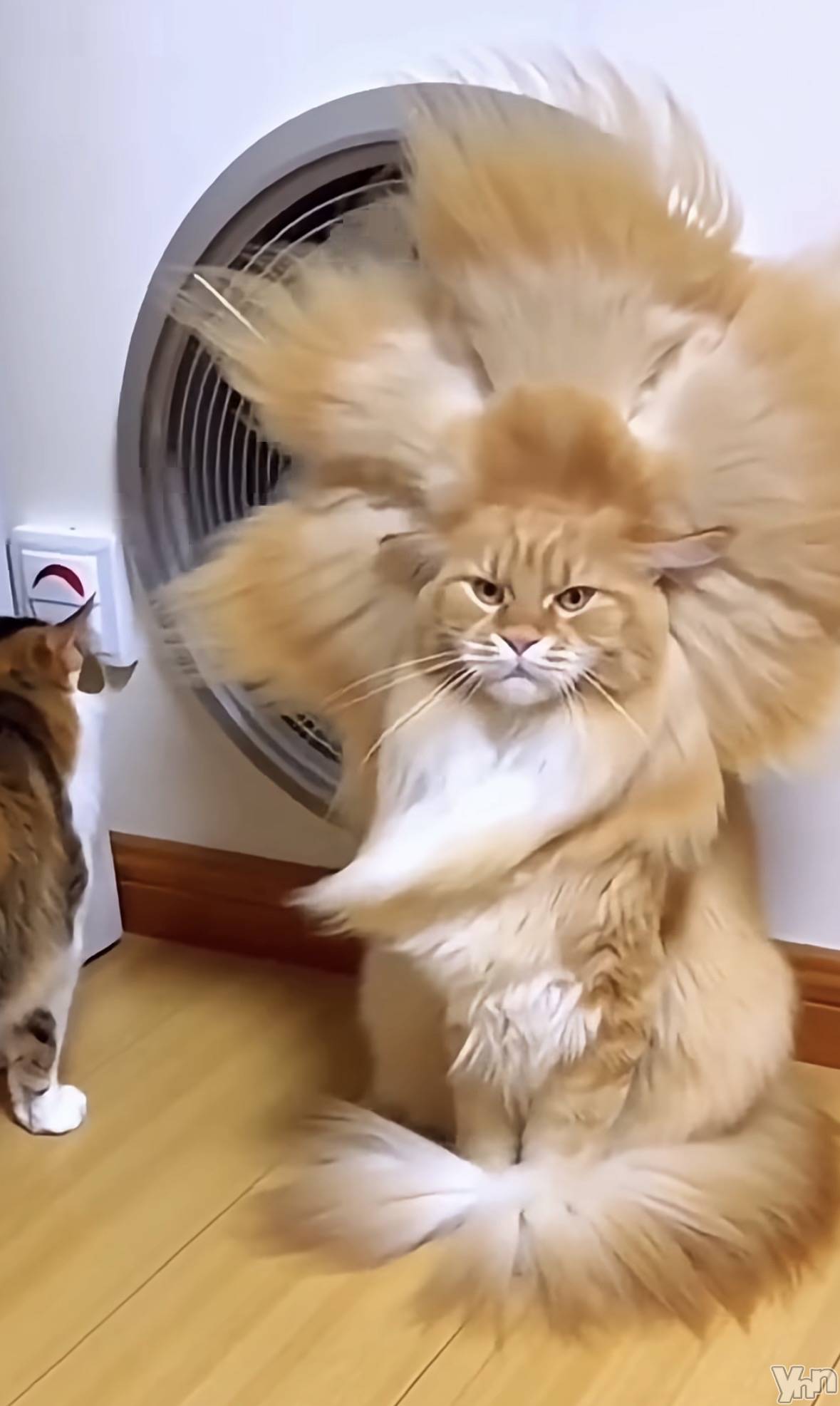 ���ܥ���Х��顦�����CLUB WONDER(����� ������) ��2026ǯ4��4���̥�֥�����2026.4/4��