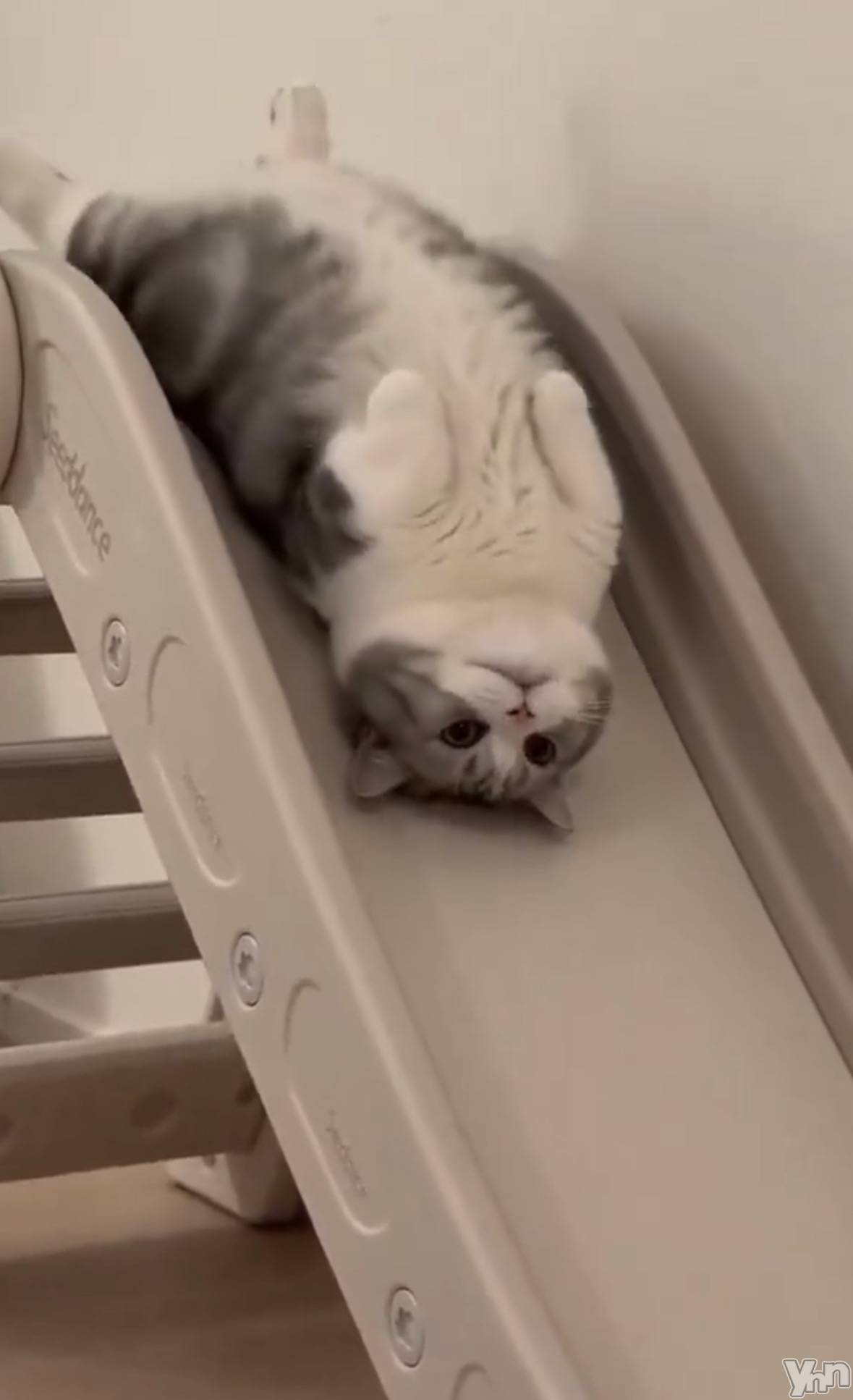 ���ܥ���Х��顦�����CLUB WONDER(����� ������) ��2026ǯ4��9���̥�֥�����2026.4/9��