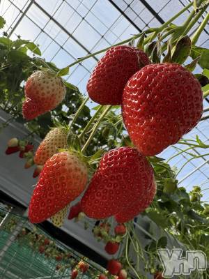 ���ܥ���Х��顦�����CLUB WONDER(����� ������) ��ë ���ۤ�4��5���̥�֥����� ����������🍓��