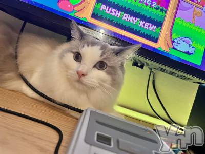 ���ܥ���Х��顦�����CLUB WONDER(����� ������) ��ë ���ۤ�4��17���̥�֥����֤ˤ㡼�����