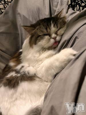 ���ܥ���Х��顦�����CLUB WONDER(����� ������) ��ë ���ۤ�5��3���̥�֥�����ǭ�ˤʤꤿ����