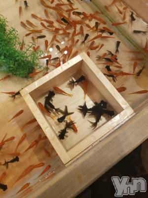 ���ܥ���Х��顦�����CLUB WONDER(����� ������) ��ë ���ۤ�5��10���̥�֥����ֶ����������