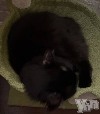 ���ܥ���Х��顦�����CLUB WONDER(����� ������) ��ë ���ۤ�8��28���̥�֥����ֹ�����������դ�ա�