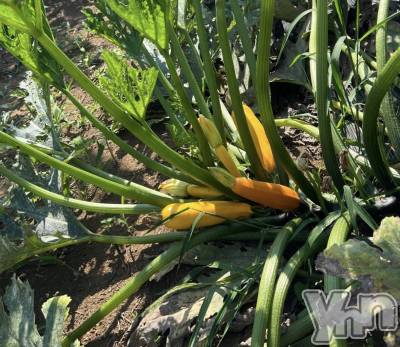 ���ܥ���Х��顦�����CLUB WONDER(����� ������) ��ë ���ۤ�9��8���̥�֥����ֲ��⤷�����ͤ�������