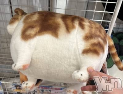 ���ܥ���Х��顦�����CLUB WONDER(����� ������) ��ë ���ۤ�9��17���̥�֥����ָ�ĥ�����������С�