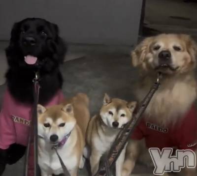 ���ܥ���Х��顦�����CLUB WONDER(����� ������) ��ë ���ۤ�10��4���̥�֥����ֲİ������󡩡�