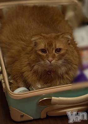 ���ܥ���Х��顦�����CLUB WONDER(����� ������) ��ë ���ۤ�10��24���̥�֥�����Ϣ������🙋‍��️��