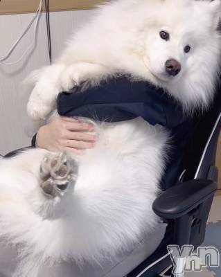 ���ܥ���Х��顦�����CLUB WONDER(����� ������) ��ë ���ۤ�11��4���̥�֥�����2025.11/4��