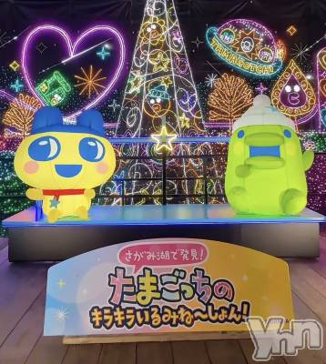 ���ܥ���Х��顦�����CLUB WONDER(����� ������) ��ë ���ۤ�11��18���̥�֥�����2025.11/18��