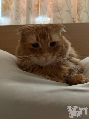 ���ܥ���Х��顦�����CLUB WONDER(����� ������) ��ë ���ۤ�12��3���̥�֥�����2025.12/3��