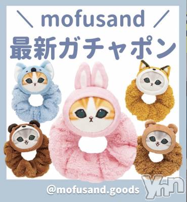 ���ܥ���Х��顦�����CLUB WONDER(����� ������) ��ë ���ۤ�12��6���̥�֥�����2025.12/6��