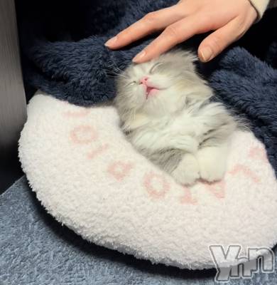 ���ܥ���Х��顦�����CLUB WONDER(����� ������) ��ë ���ۤ�12��14���̥�֥�����2025.12/14��