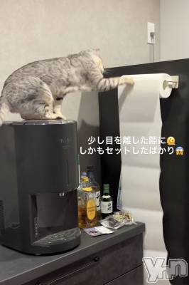 ���ܥ���Х��顦�����CLUB WONDER(����� ������) ��ë ���ۤ�12��23���̥�֥�����2025.12/23��