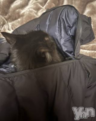 ���ܥ���Х��顦�����CLUB WONDER(����� ������) ��ë ���ۤ�1��11���̥�֥�����2026.1/11��