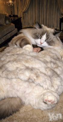 ���ܥ���Х��顦�����CLUB WONDER(����� ������) ��ë ���ۤ�1��20���̥�֥�����2026.1/20��