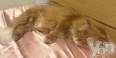 ���ܥ���Х��顦�����CLUB WONDER(����� ������) ��ë ���ۤ�2��12���̥�֥�����2026.2/12��