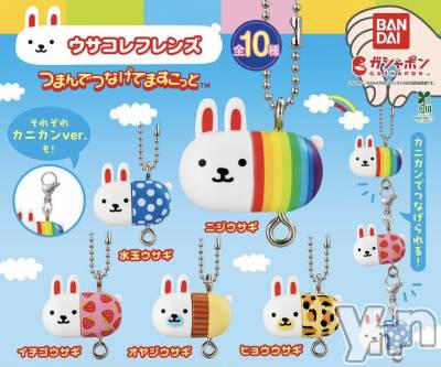 ���ܥ���Х��顦�����CLUB WONDER(����� ������) ��ë ���ۤ�3��3���̥�֥�����2026.3/3��