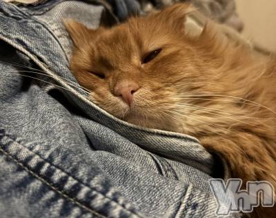 ���ܥ���Х��顦�����CLUB WONDER(����� ������) ��ë ���ۤ�3��8���̥�֥�����2026.3/8��