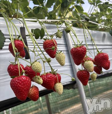 ���ܥ���Х��顦�����CLUB WONDER(����� ������) ��ë ���ۤ�3��10���̥�֥�����2026.3/10��