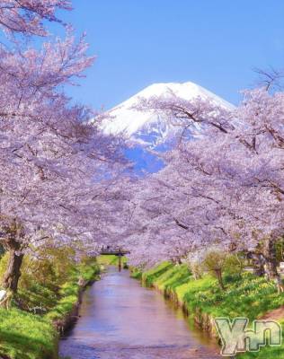 ���ܥ���Х��顦�����CLUB WONDER(����� ������) ��ë ���ۤ�3��20���̥�֥�����2026.3/20��