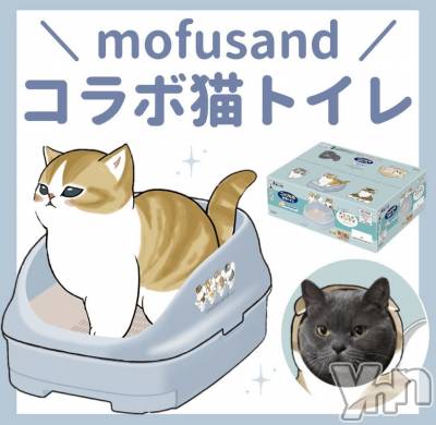 ���ܥ���Х��顦�����CLUB WONDER(����� ������) ��ë ���ۤ�3��27���̥�֥�����2026.3/27��