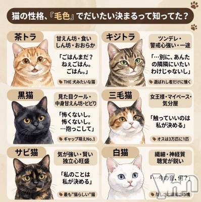 ���ܥ���Х��顦�����CLUB WONDER(����� ������) ��ë ���ۤ�4��3���̥�֥�����2026.4/3��