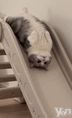 ���ܥ���Х��顦�����CLUB WONDER(����� ������) ��ë ���ۤ�4��9���̥�֥�����2026.4/9��