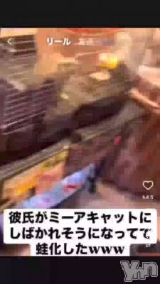 ����롢����🤪🤪