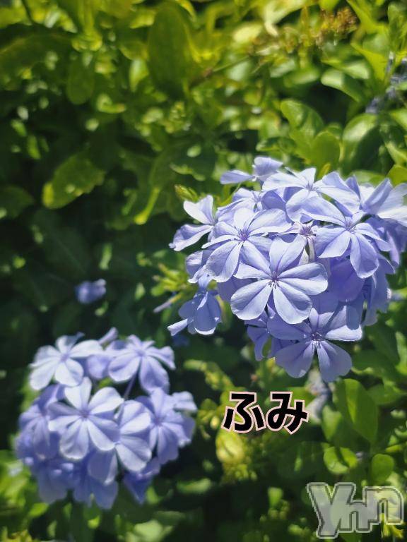 甲府デリヘル甲府人妻隊(コウフヒトヅマタイ) 新人ふみ(49)の8月1日写メブログ「こんな暑くても」