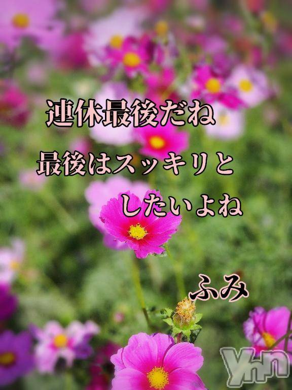 甲府デリヘル甲府人妻隊(コウフヒトヅマタイ) 新人ふみ(49)の11月3日写メブログ「最後はスッキリと」