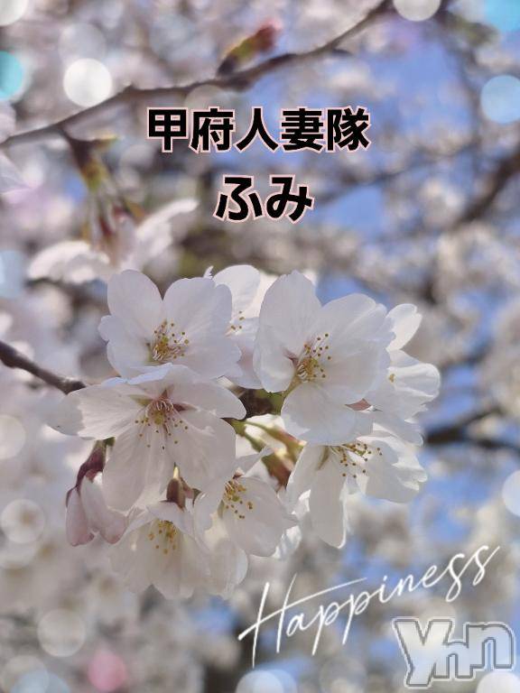 甲府デリヘル甲府人妻隊(コウフヒトヅマタイ)新人ふみ(49)の2025年4月5日写メブログ「おはようございます」