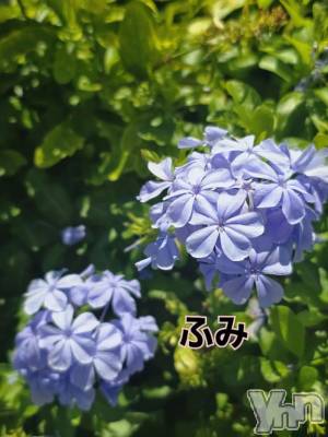 甲府デリヘル 甲府人妻隊(コウフヒトヅマタイ) 新人ふみ(49)の8月1日写メブログ「こんな暑くても」