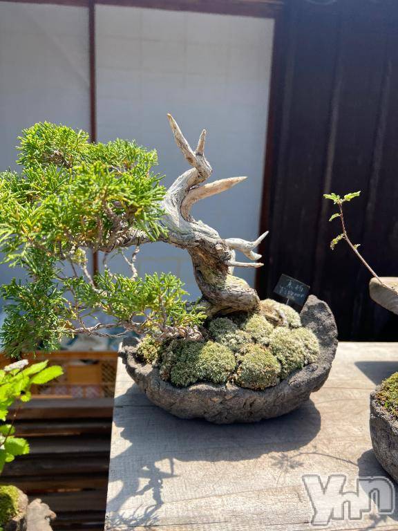 甲府ソープBARUBORA(バルボラ) ぬん(18)の6月10日写メブログ「𝑾𝑬𝑩予約人気★★☆」