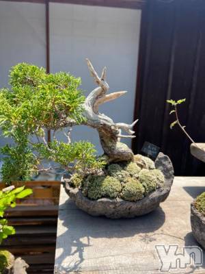 甲府ソープ BARUBORA(バルボラ) ぬん(18)の6月10日写メブログ「𝑾𝑬𝑩予約人気★★☆」