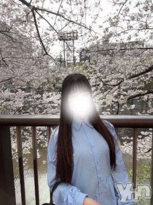 甲府ソープ BARUBORA(バルボラ) ゆうな(22)の4月8日写メブログ「おさんぽ🐕」