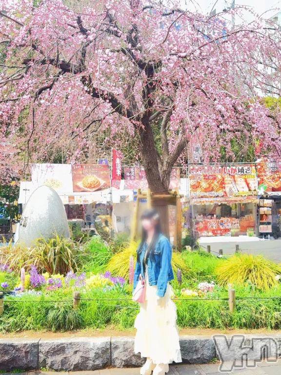 甲府ソープBARUBORA(バルボラ) みり(23)の3月18日写メブログ「⸜🌷︎⸝‍お花見🌸」