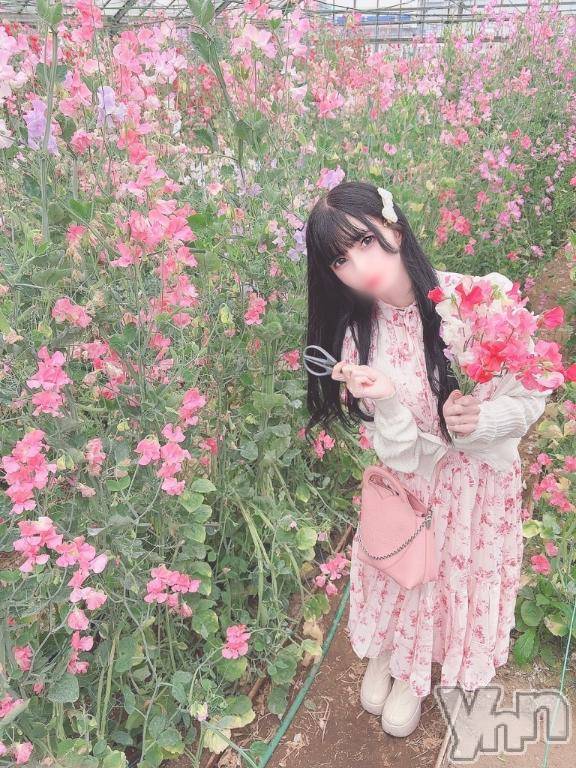 甲府ソープBARUBORA(バルボラ) みり(23)の4月1日写メブログ「⸜🌷︎⸝‍赤いスイトピー」