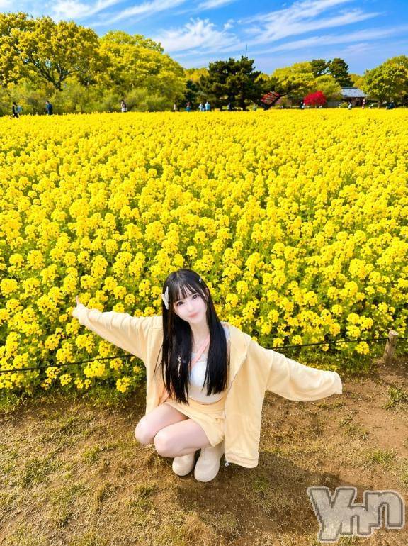 甲府ソープBARUBORA(バルボラ) みり(23)の4月18日写メブログ「⸜🌷︎⸝‍千葉県民は菜の花を食べます🍚」