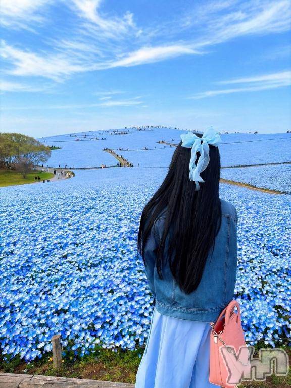 甲府ソープBARUBORA(バルボラ) みり(23)の4月19日写メブログ「⸜🌷︎⸝‍幸せの青い花」