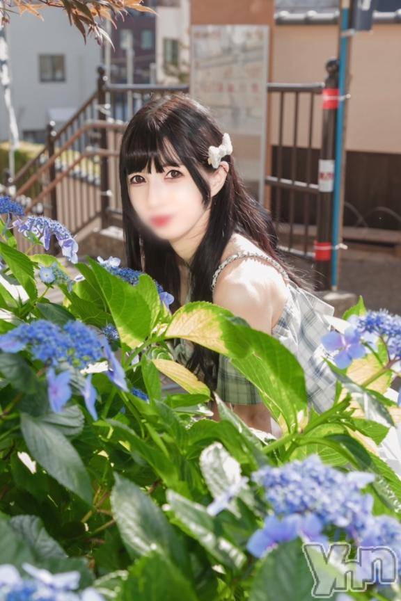 甲府ソープBARUBORA(バルボラ) みり(23)の6月11日写メブログ「⸜🌷︎⸝‍紫陽花撮影📸」