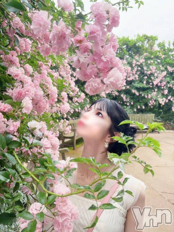 甲府ソープBARUBORA(バルボラ)みり(23)の2026年5月29日写メブログ「⸜🌷︎⸝‍薔薇撮影📸」