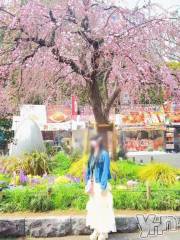 甲府ソープBARUBORA(バルボラ) みり(23)の3月18日写メブログ「⸜🌷︎⸝‍お花見🌸」