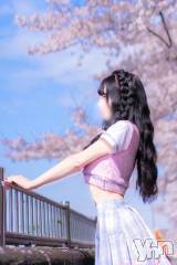 甲府ソープBARUBORA(バルボラ) みり(23)の4月2日写メブログ「⸜🌷︎⸝‍桜撮影🌸」