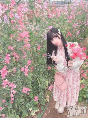 甲府ソープ BARUBORA(バルボラ) みり(23)の4月1日写メブログ「⸜🌷︎⸝‍赤いスイトピー」