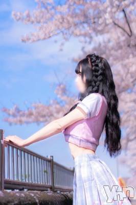甲府ソープ BARUBORA(バルボラ) みり(23)の4月2日写メブログ「⸜🌷︎⸝‍桜撮影🌸」