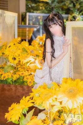 甲府ソープ BARUBORA(バルボラ) みり(23)の8月28日写メブログ「⸜🌷︎⸝‍ひまわり撮影🌻Sumoさん」