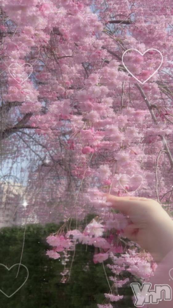 甲府ソープオレンジハウス もも(23)の4月22日写メブログ「明後日からになりました🌸💖」