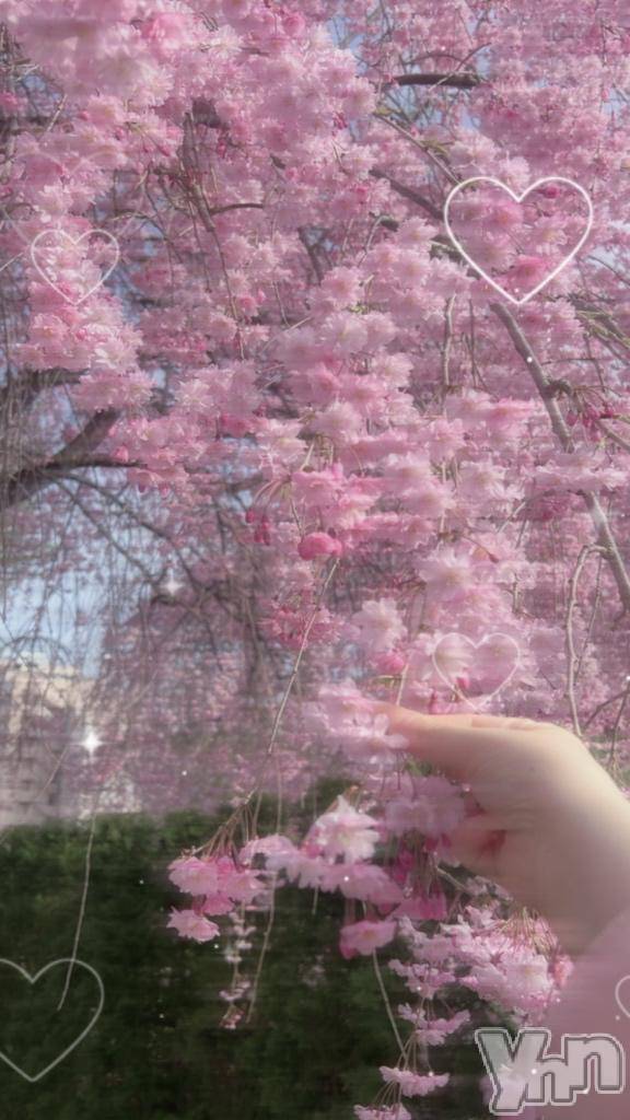 甲府ソープオレンジハウスもも(23)の2025年4月22日写メブログ「明後日からになりました🌸💖」